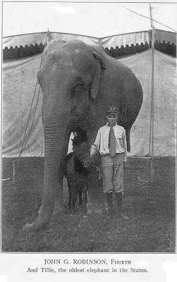a-story-about-and-elephant-named-tillie